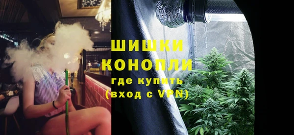 гидропоника Гусев