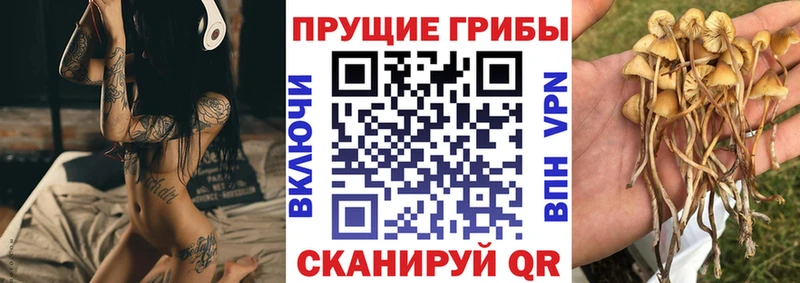 цена наркотик Десногорск Галлюциногенные грибы мухоморы